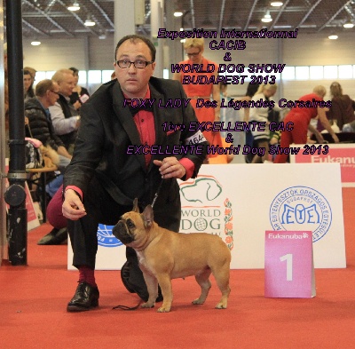 Des Légendes Corsaires - WORLD DOG SHOW BUDAPEST 2013